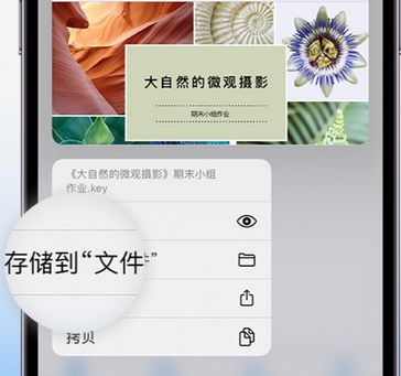 勃利apple维修中心分享iPhone文件应用中存储和找到下载文件