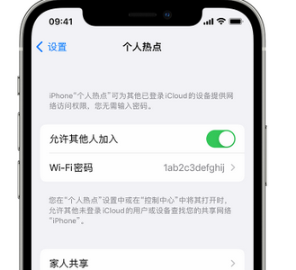 勃利apple服务站点分享iPhone上个人热点丢失了怎么办 