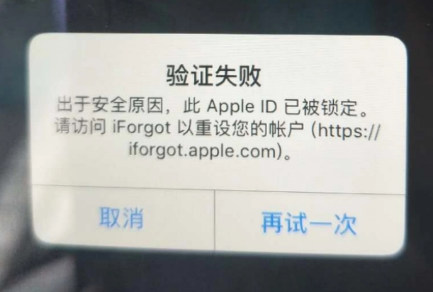 勃利iPhone维修分享iPhone上正常登录或使用AppleID怎么办 