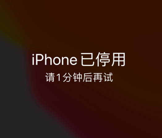 勃利苹果手机维修分享:iPhone 显示“不可用”或“已停用”怎么办？还能保留数据吗？ 