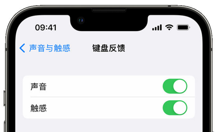 勃利苹果手机维修分享iPhone 14触感键盘使用方法 