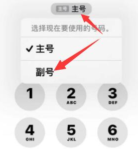 勃利苹果14维修店分享iPhone 14 Pro Max使用副卡打电话的方法 