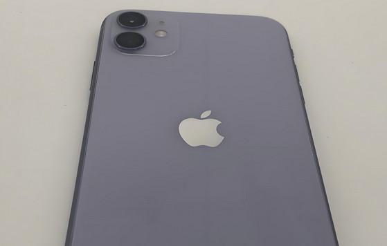 勃利苹果11系统维修分享iPhone11手机系统崩溃无法开机如何解决